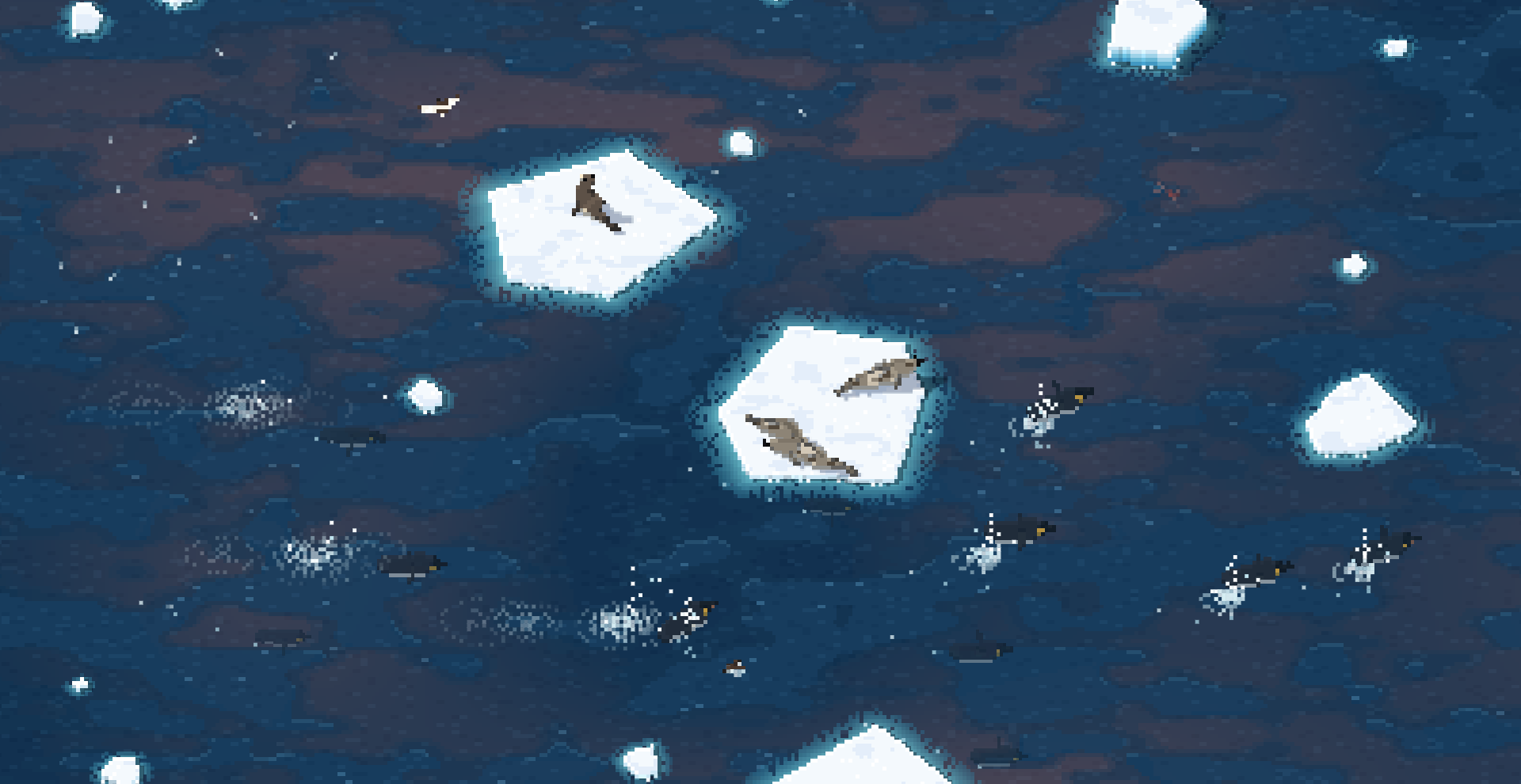 Seals hauled out on two ice floes while emperor penguins porpoise through the water around them