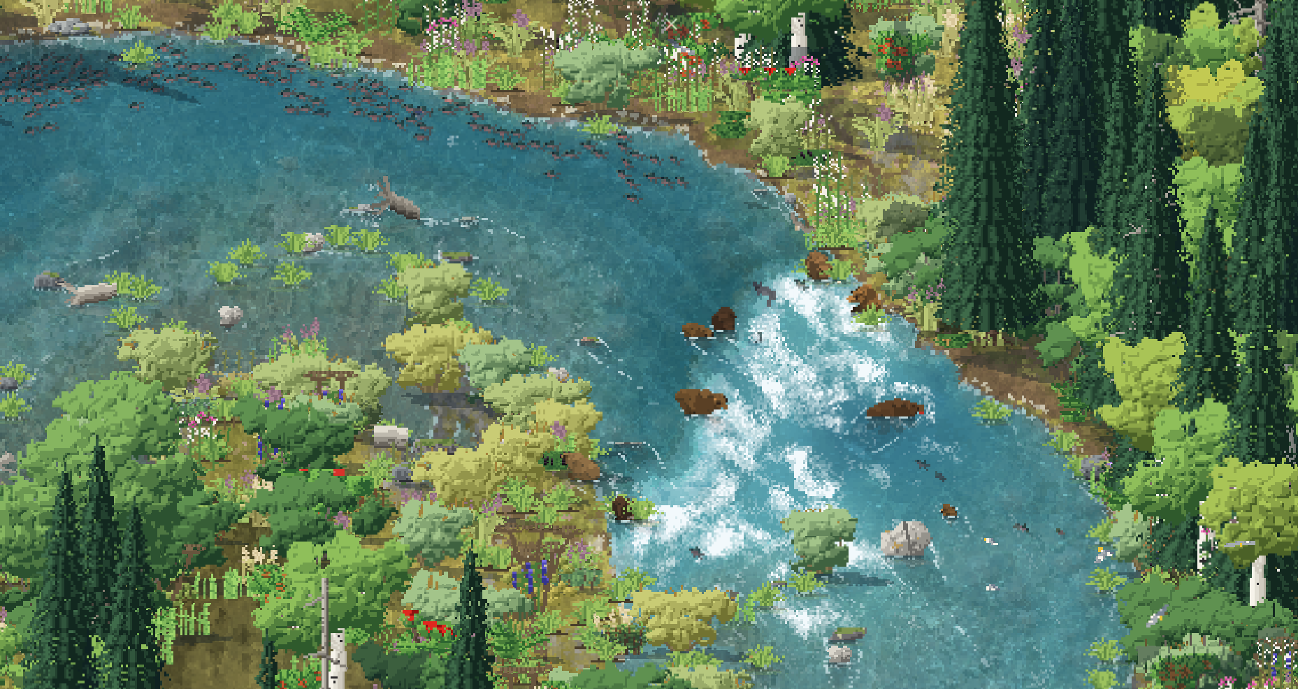 Brown bears standing in the white water at the falls of Brooks River, with sockeye salmon in the current around them
